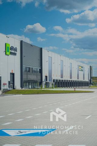 Hala/magazyn Rzeszów, ul. Technologiczna. Zdjęcie 7