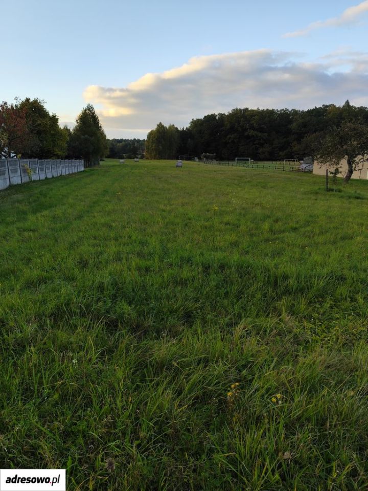 Działka rolno-budowlana Wręczyca Mała, ul. Zamkowa. Zdjęcie 3
