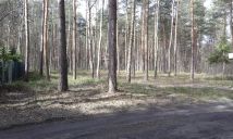 Działka budowlana Żarki-Letnisko, ul. Okrężna. Zdjęcie 3