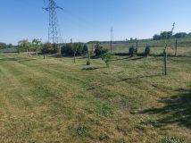 Działka rolna Krościna Mała. Zdjęcie 2