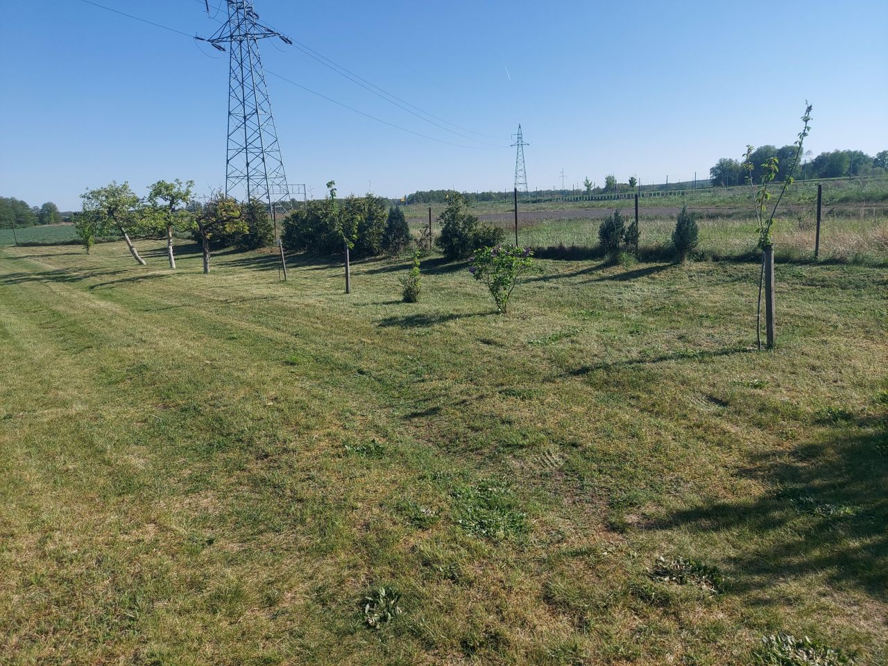 Działka rolna Krościna Mała. Zdjęcie 3