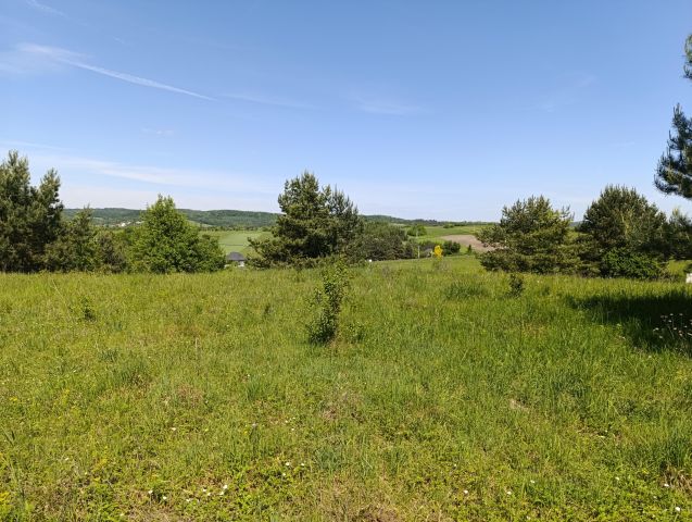 Działka budowlana Ryczówek Pod Lasem, ul. Krzewowa. Zdjęcie 1