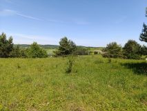 Działka budowlana Ryczówek Pod Lasem, ul. Krzewowa