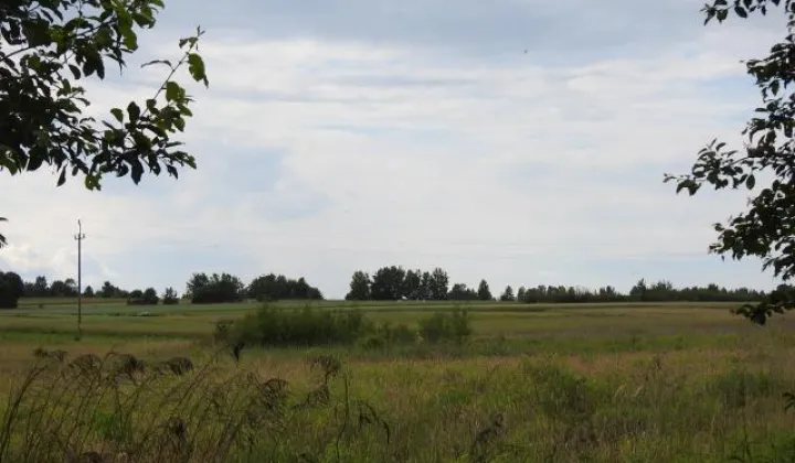 Działka budowlana Wojsławice, ul. Jasna