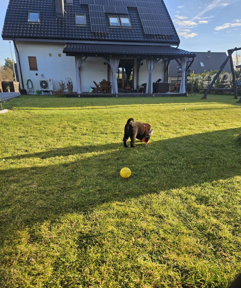 dom wolnostojący, 4 pokoje Łambinowice, ul. Wiśniowa. Zdjęcie 12