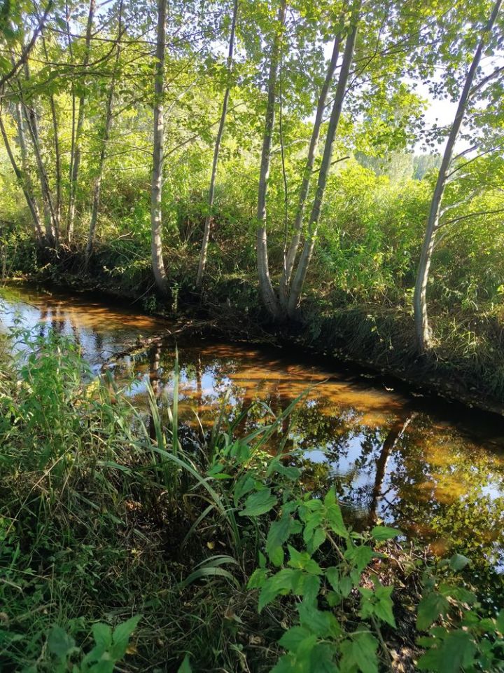 Działka budowlana Łazów. Zdjęcie 6