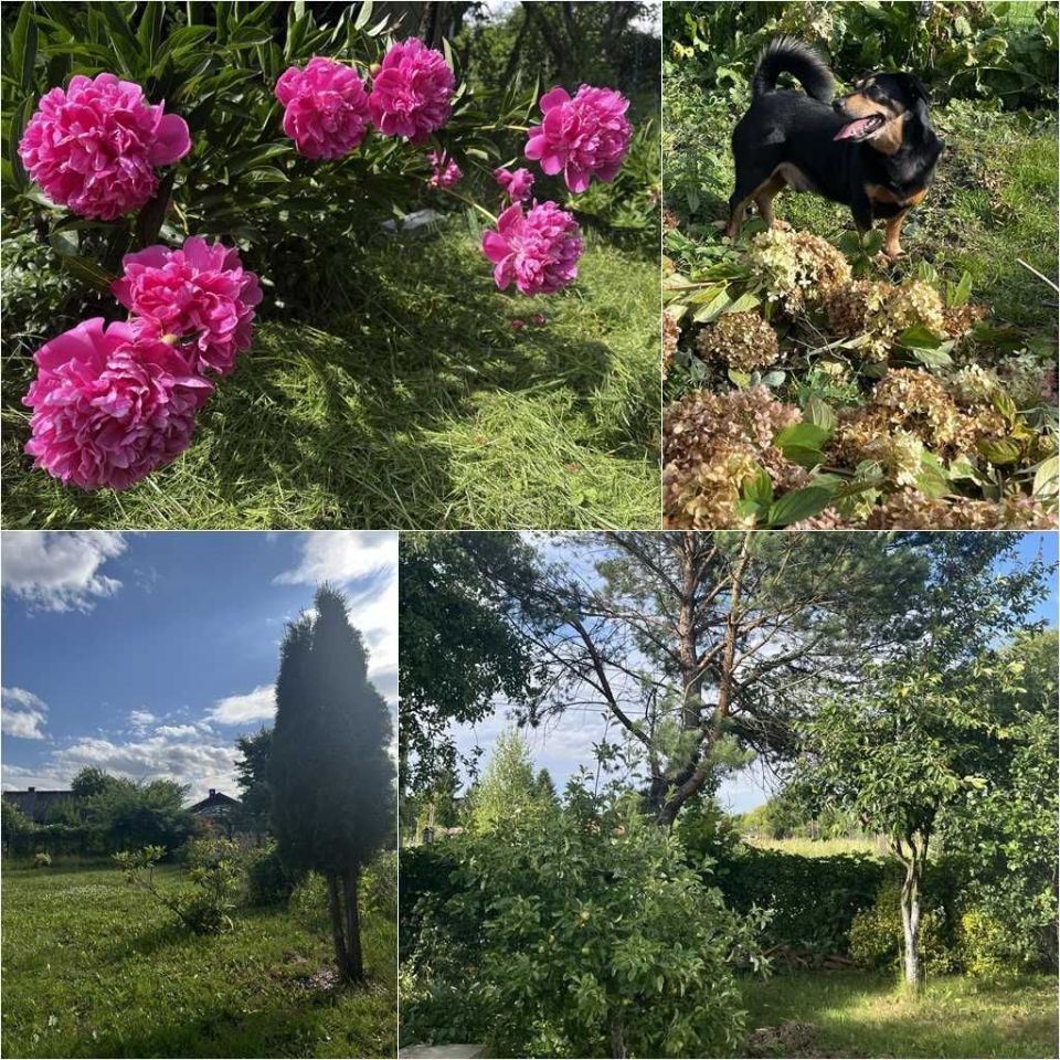 Działka rod Oświęcim Stare Stawy. Zdjęcie 8