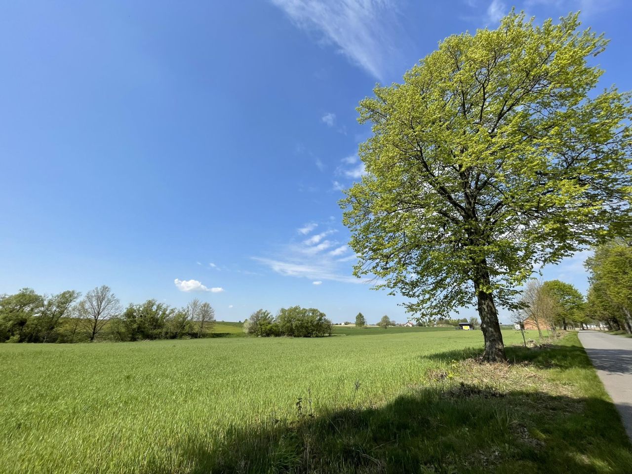 Działka budowlana Bobrowo. Zdjęcie 6