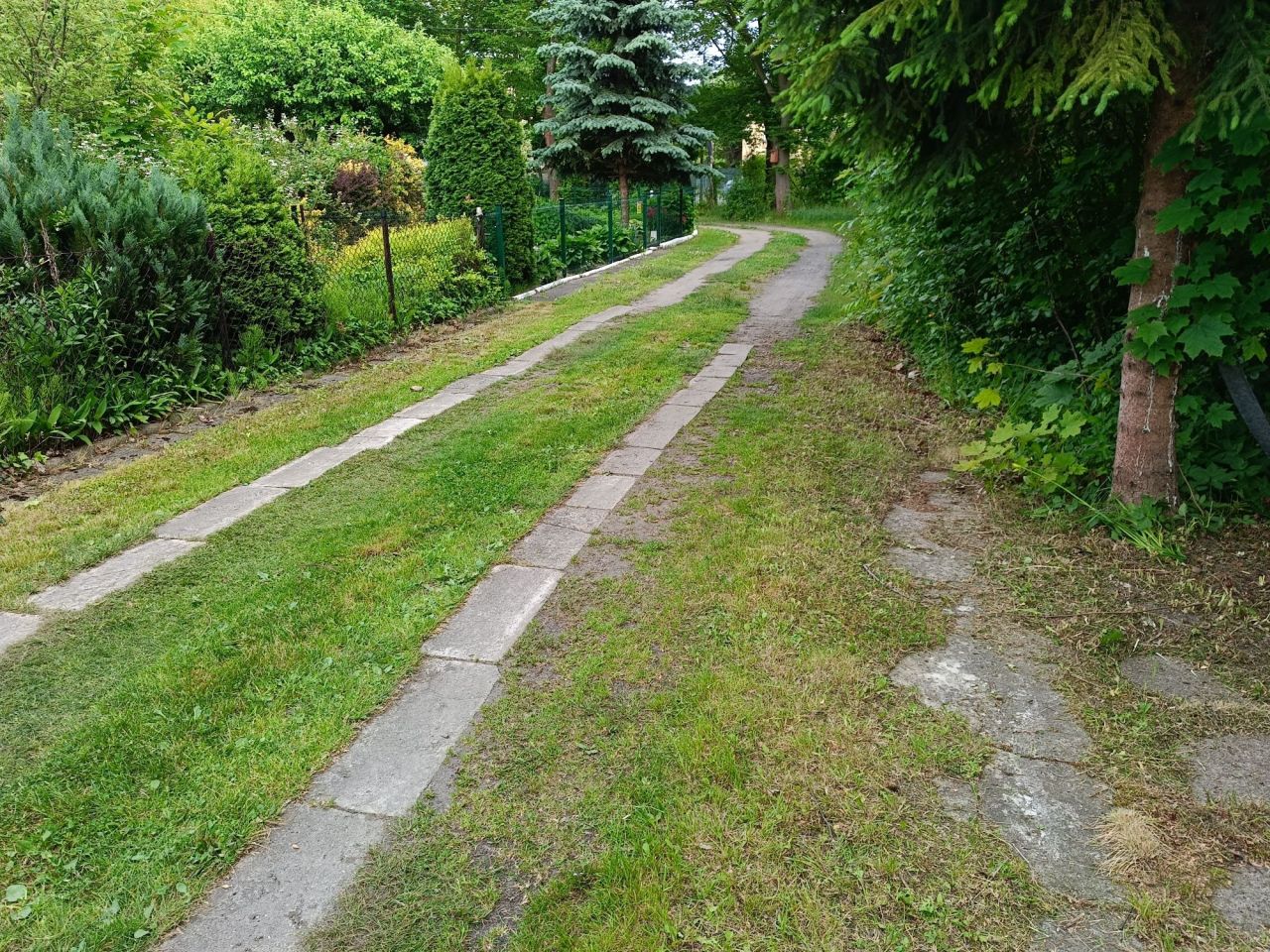 Działka rod Łódź Chojny. Zdjęcie 5