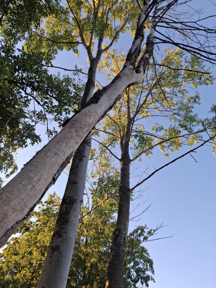 Działka rolno-budowlana Pęchratka Polska. Zdjęcie 3