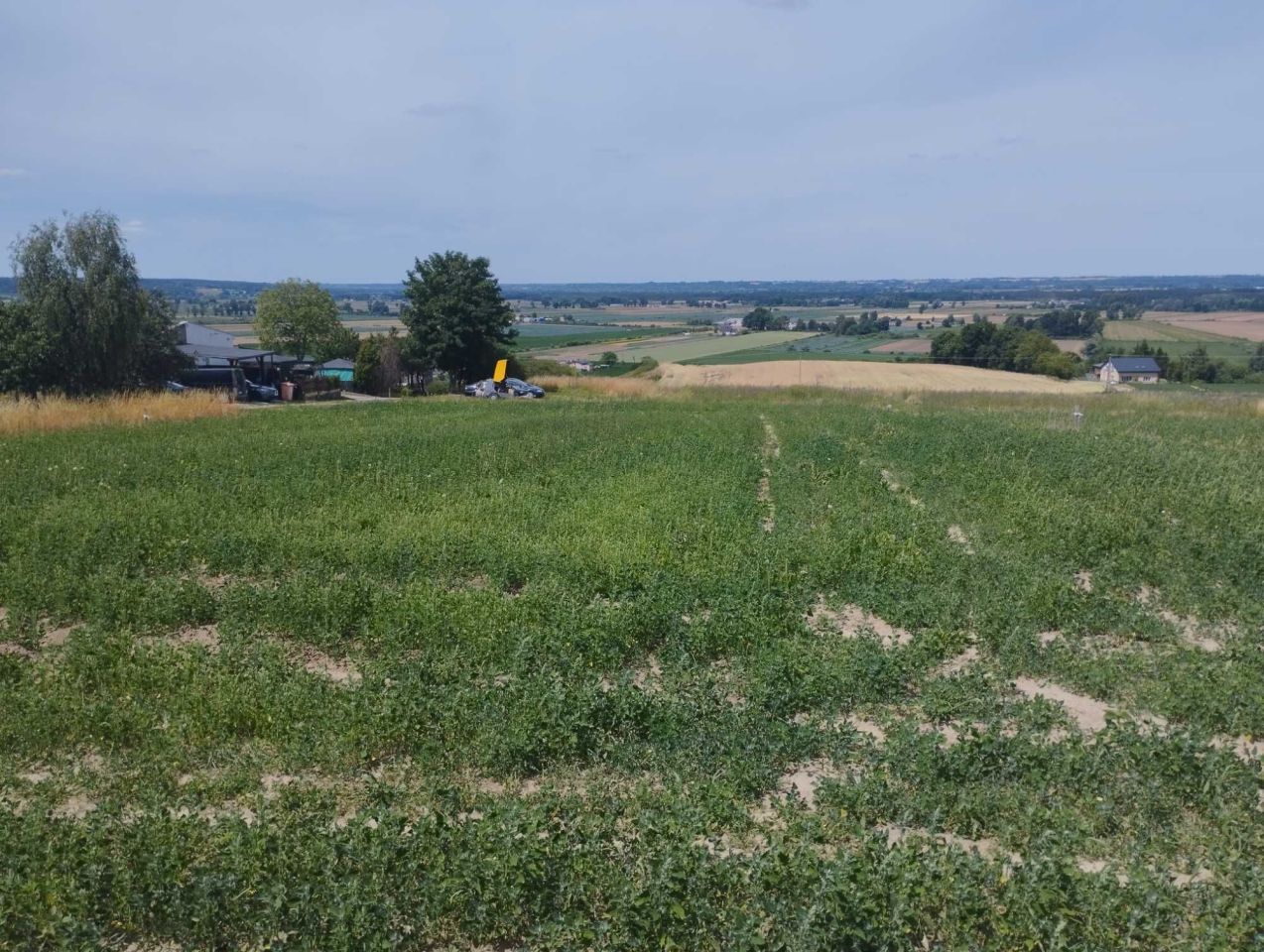 Działka budowlana Unisław. Zdjęcie 6