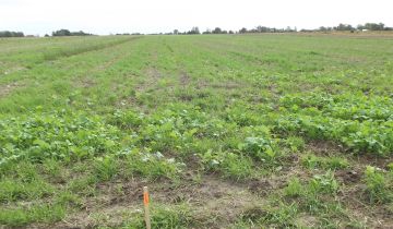 Działka rolna Ścieki