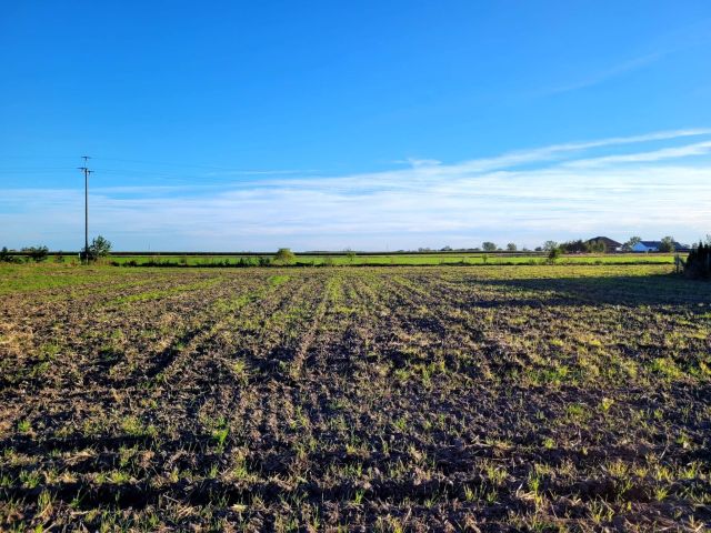 Działka budowlana Dzierzążenko. Zdjęcie 11