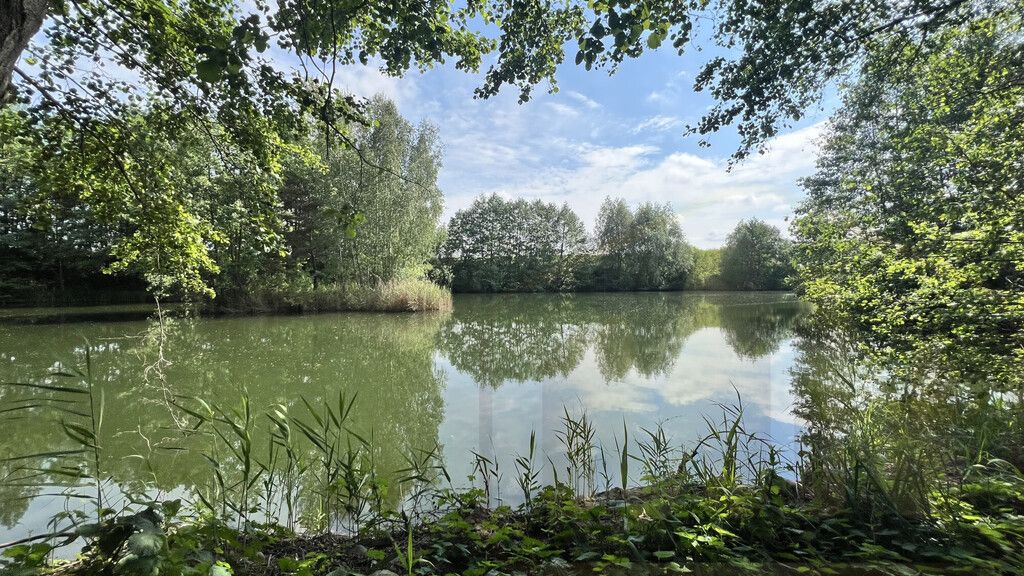 Działka rekreacyjna Osieczna. Zdjęcie 24