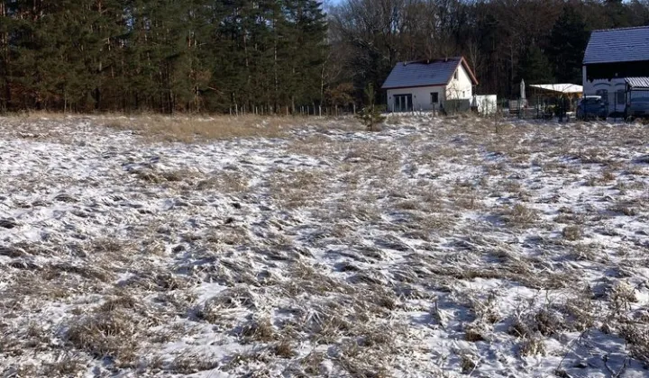 Działka budowlana Łośno, ul. Leśna