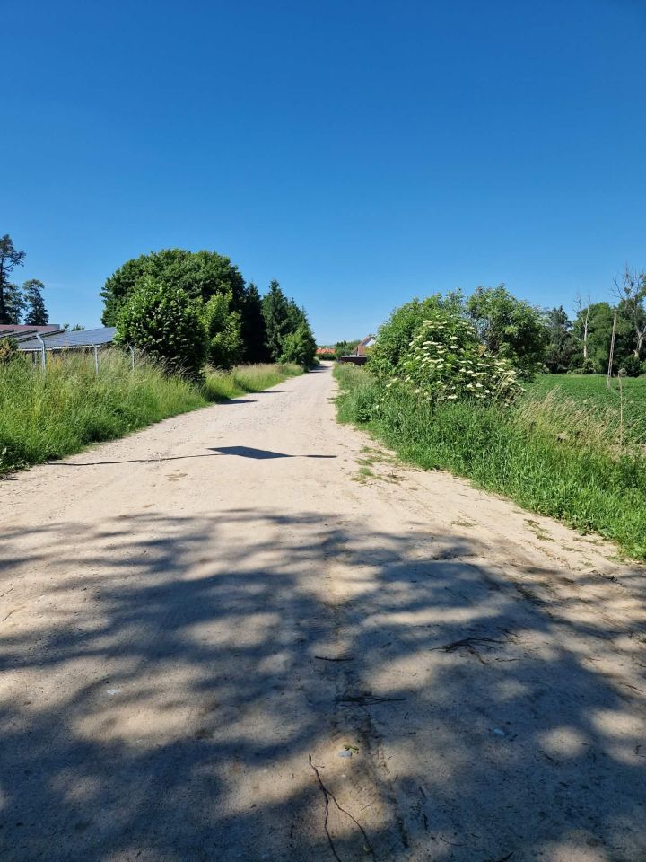 Działka budowlana Wilkowo. Zdjęcie 4