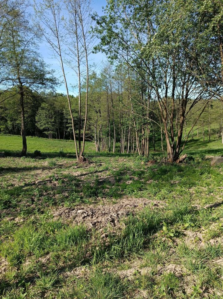 Działka rolna Roje. Zdjęcie 6