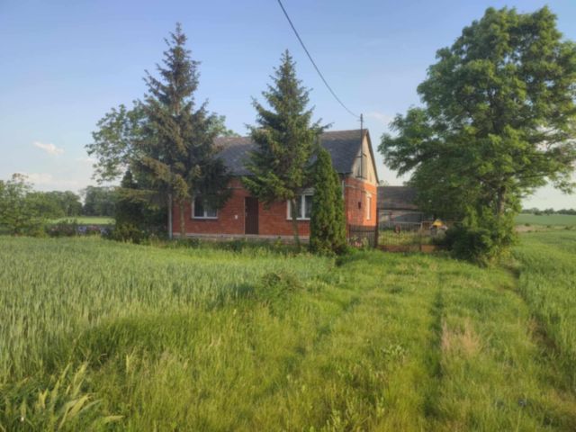 dom wolnostojący Żukowo. Zdjęcie 1