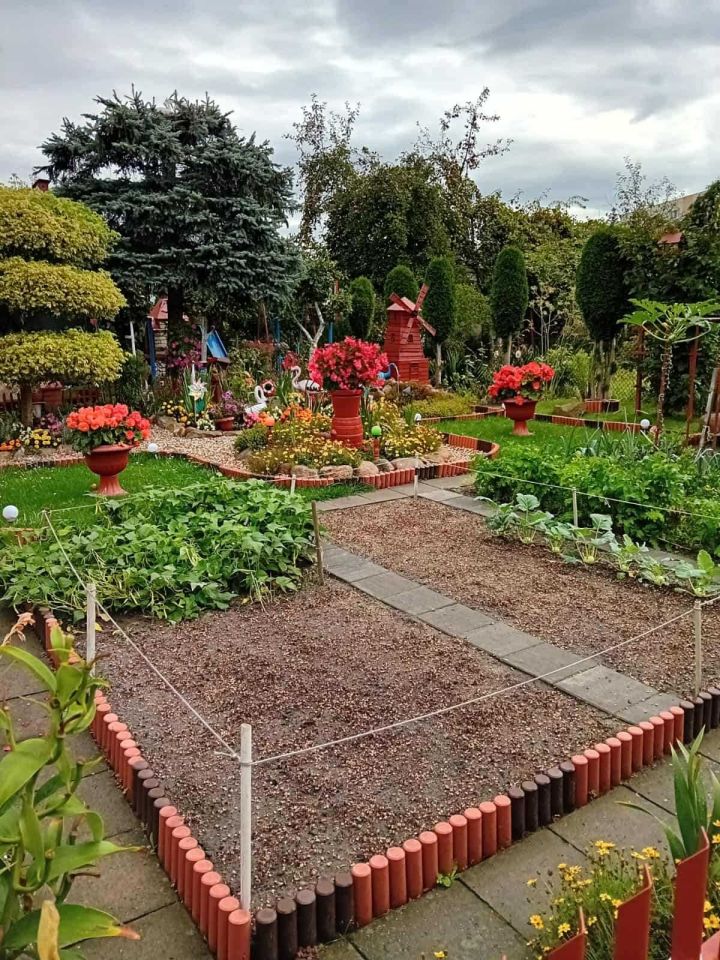 Działka rod Gliwice Kopernik. Zdjęcie 3