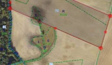 Działka rolna Popielewo