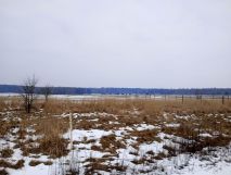 Działka budowlana Łysiny, ul. Borowiecka. Zdjęcie 1