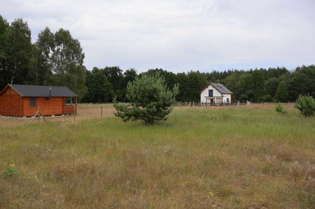 Działka budowlana Pąchy. Zdjęcie 1
