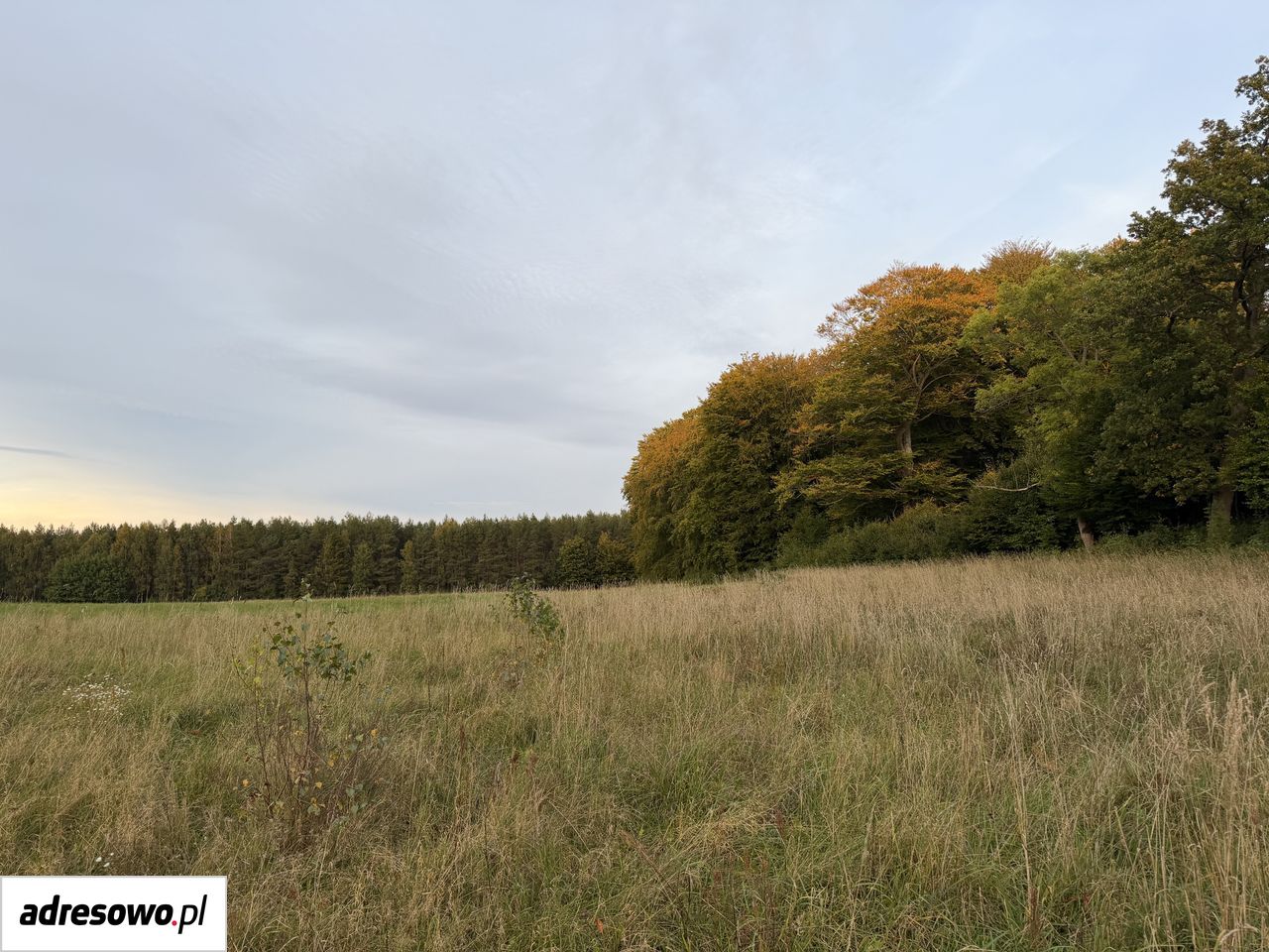 Działka budowlana Malęcino. Zdjęcie 5