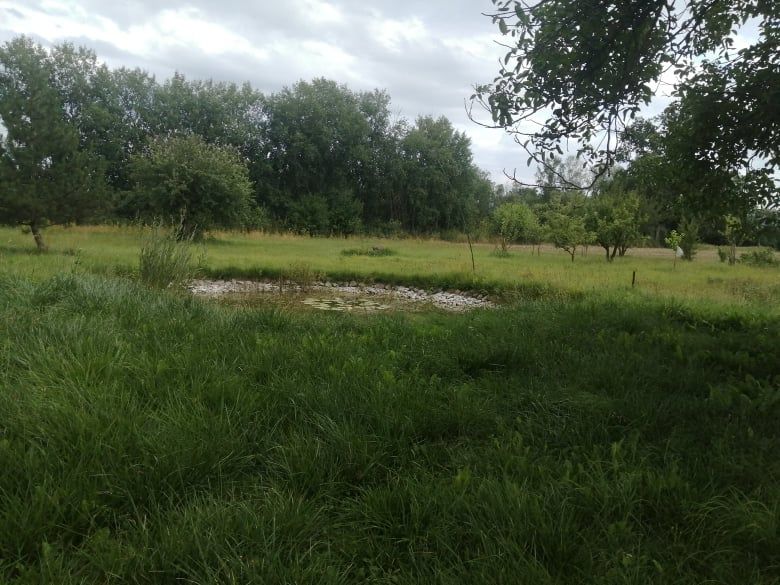 Działka budowlana Pomocnia. Zdjęcie 8