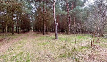 Działka rolna Bieniewiec, ul. Dziewicza