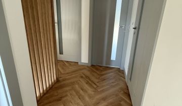 bliźniak Mierzyn, ul. Zeusa