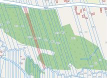 Działka leśna Wólka Kokosia. Zdjęcie 1