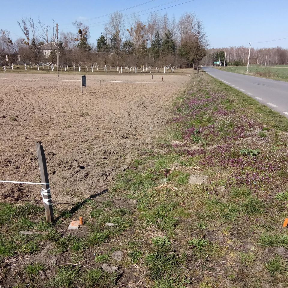 Działka budowlana Helenów. Zdjęcie 3