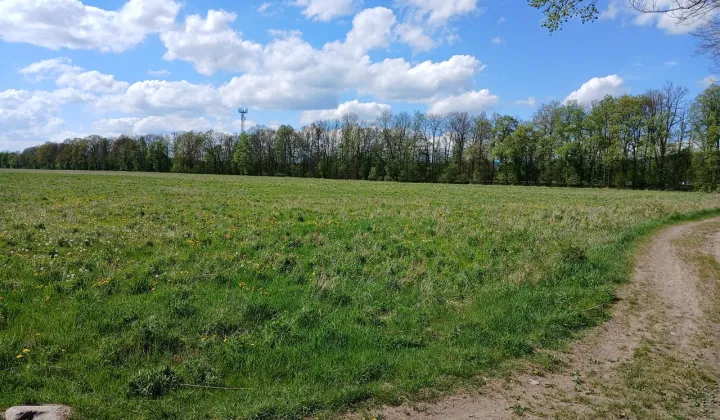 Działka budowlana Radomierz