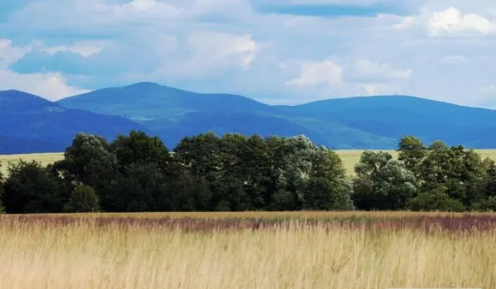 Działka budowlana Gorzanów Muszyn