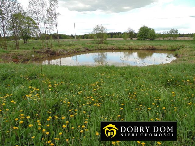 dom wolnostojący, 3 pokoje Dziadkowice. Zdjęcie 3