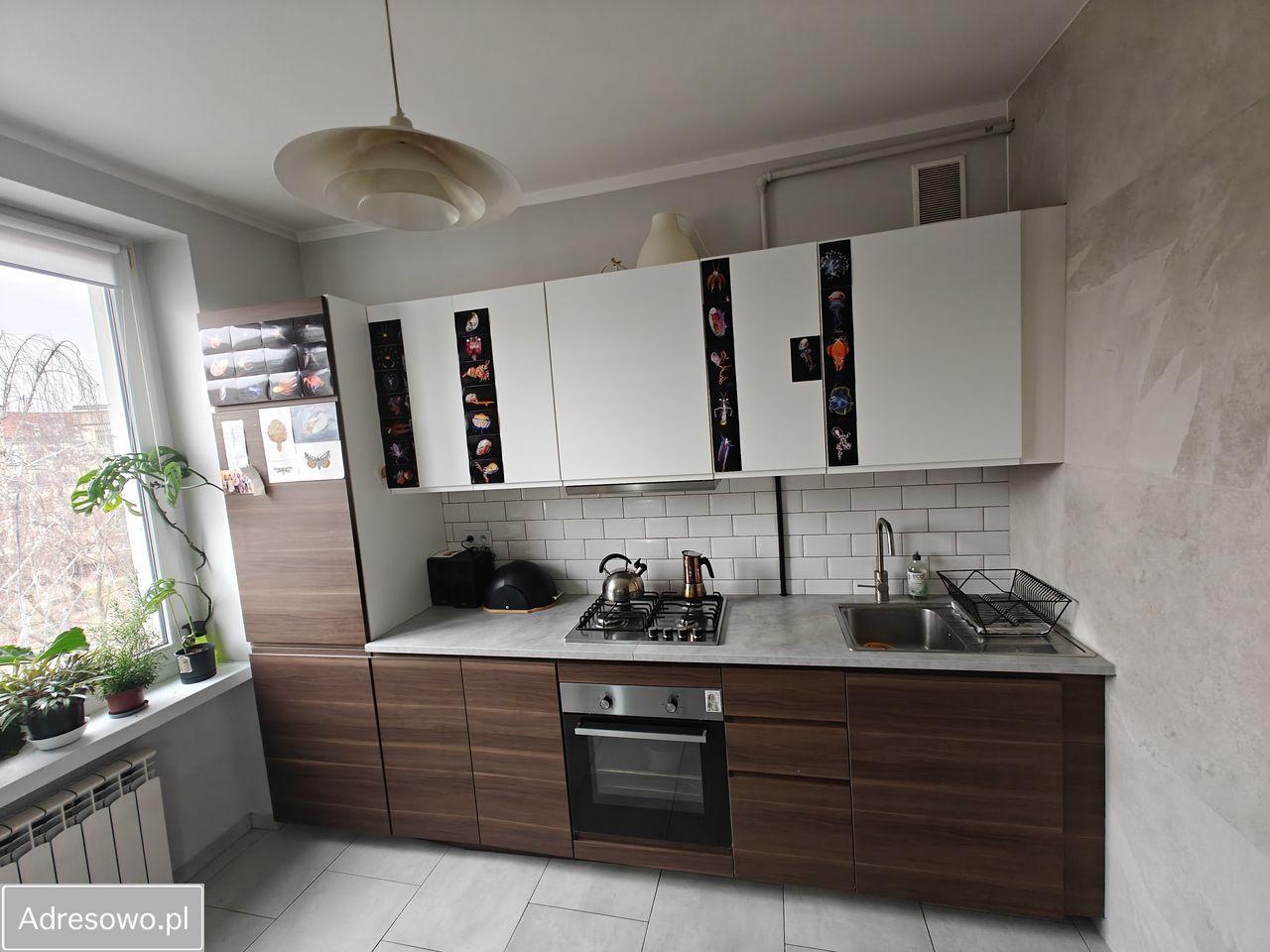 Mieszkanie 2-pokojowe Wrocław Stare Miasto, pl. Legionów. Zdjęcie 5