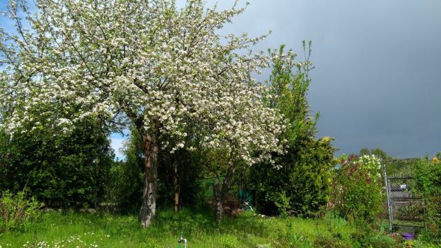 Działka rod Wójtowo. Zdjęcie 4