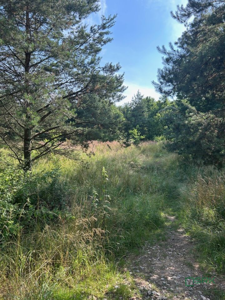 Działka inna Mysłowice Wesoła, ul. 11 Listopada. Zdjęcie 3