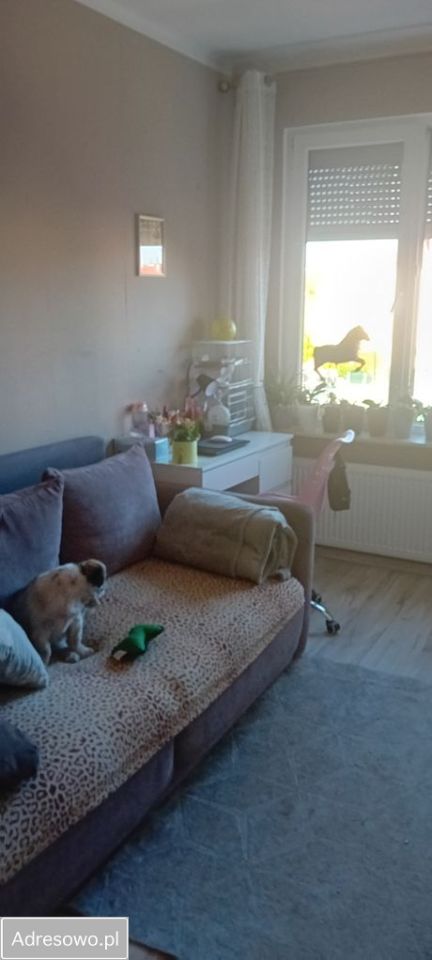 Mieszkanie 2-pokojowe Oleśnica, ul. ks. Franciszka Sudoła. Zdjęcie 10