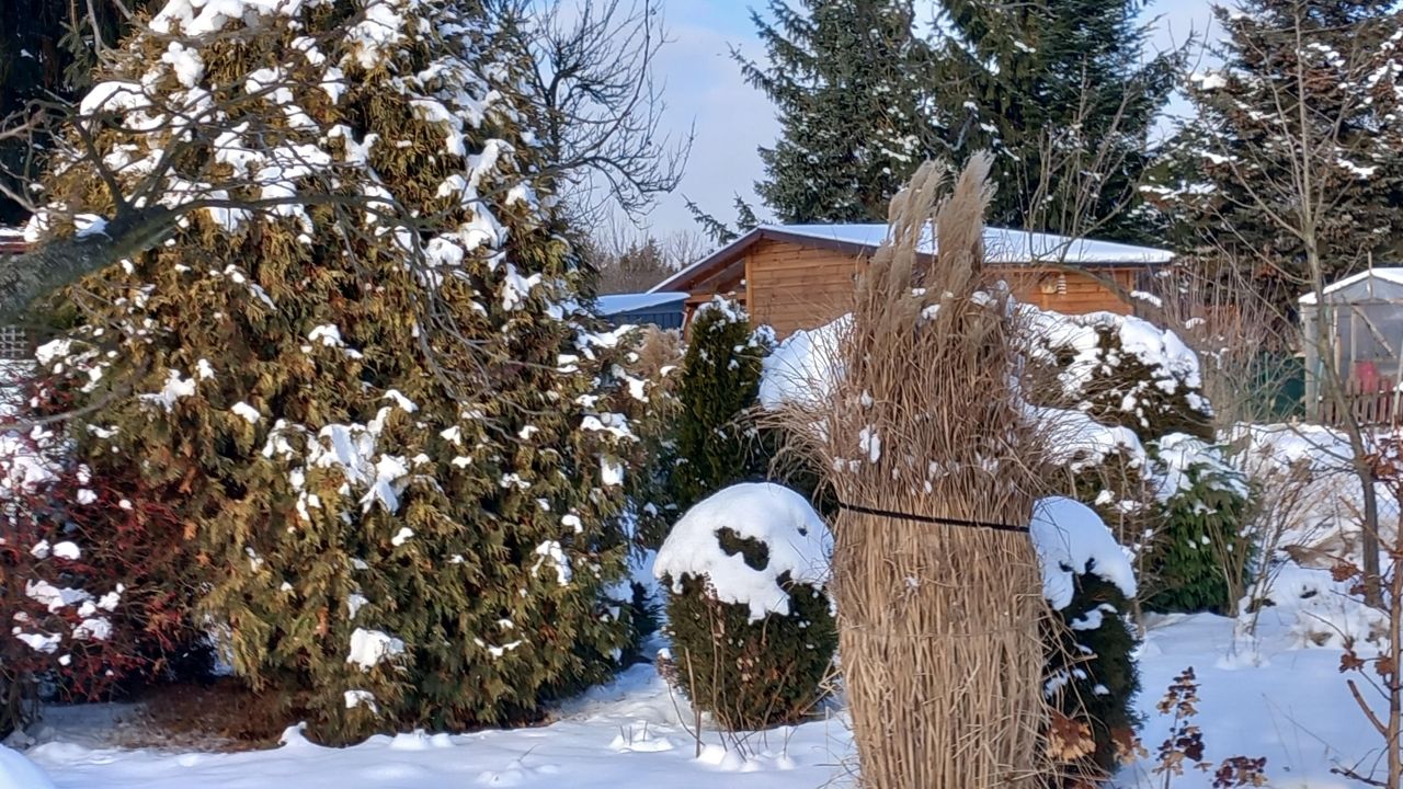 Działka rod Ostrowiec Świętokrzyski Ludwików, ul. Winnica. Zdjęcie 15