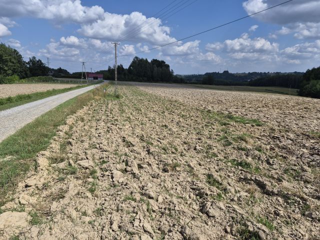 Działka rolno-budowlana Szynwałd. Zdjęcie 19