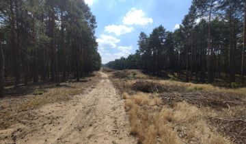 Działka leśna Słowik, ul. Brzozowa