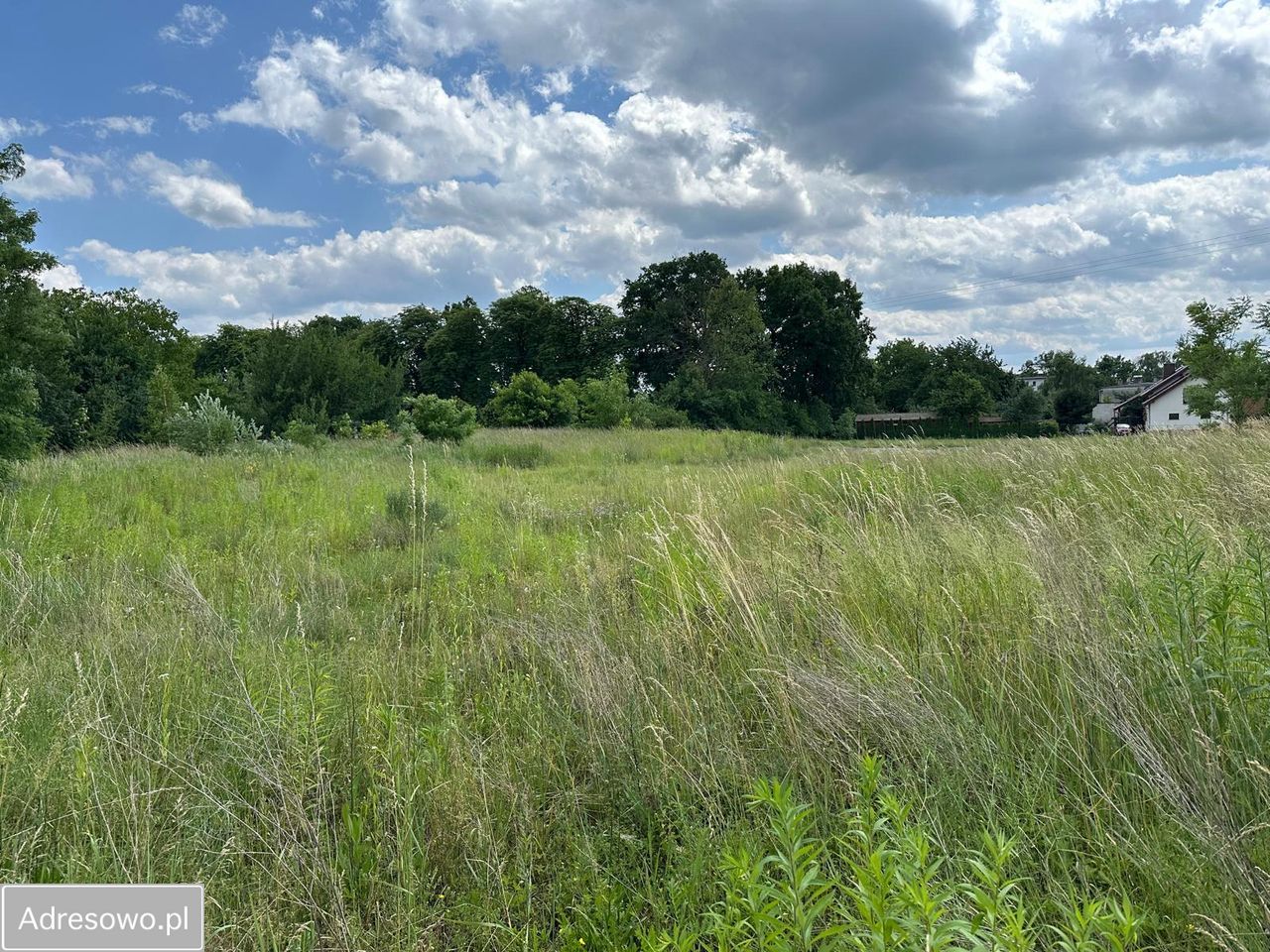 Działka budowlana Toszek, ul. Wiejska. Zdjęcie 4
