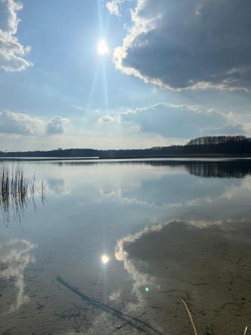 Działka rekreacyjna Wylatkowo, Wylatkowo. Zdjęcie 12