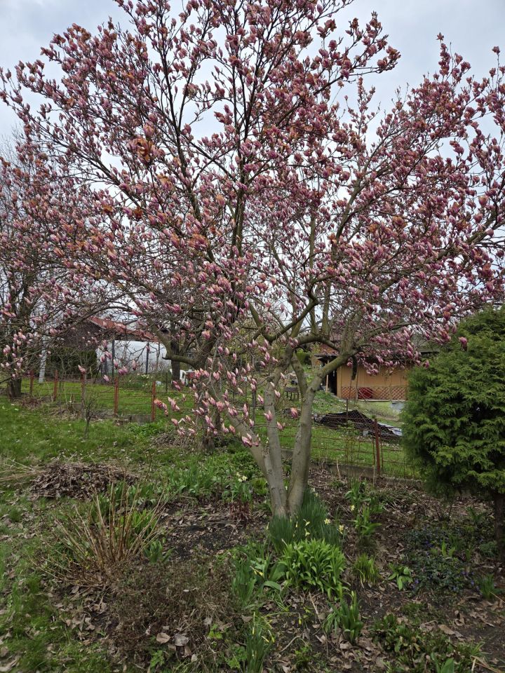 Działka rod Bielsko-Biała Lipnik, ul. Łąkowa. Zdjęcie 12