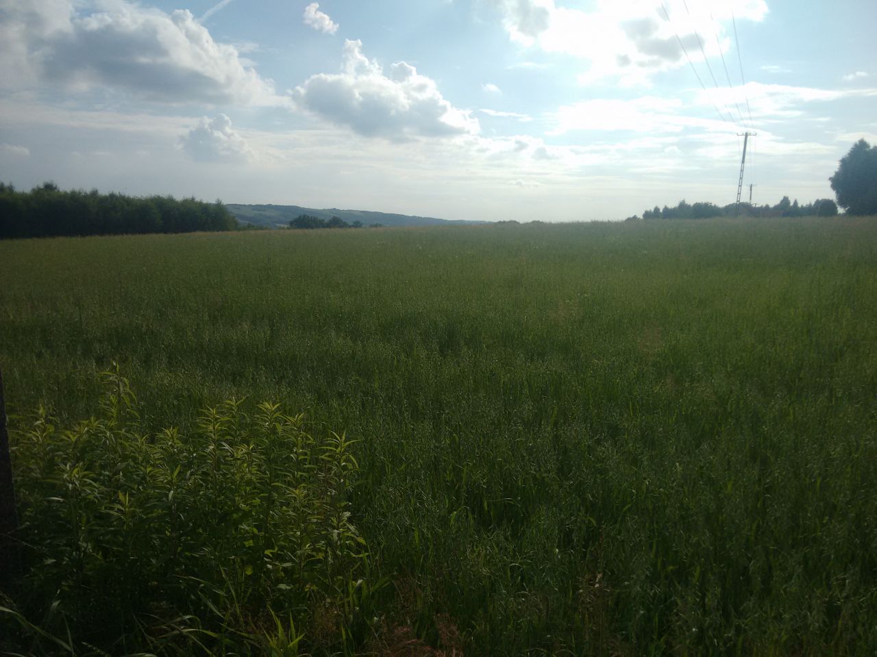Działka budowlana Glinik Średni Kamieniec. Zdjęcie 4