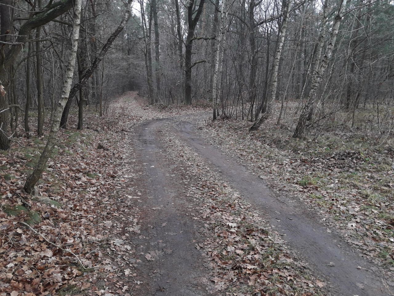 Działka inna Stare Załucze. Zdjęcie 22