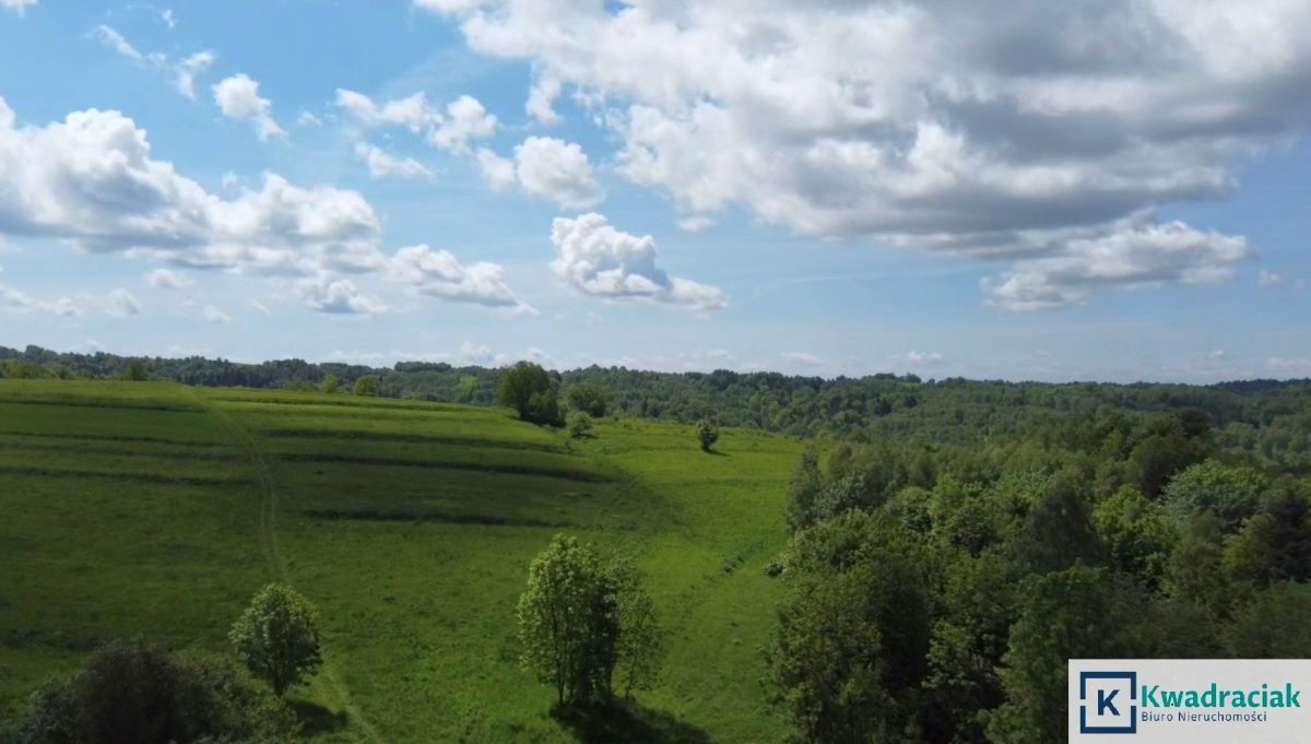 Działka rolna Golcowa. Zdjęcie 3