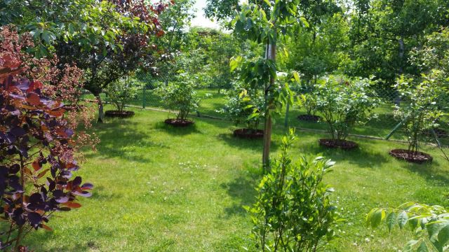 Działka rod Stare Bielice. Zdjęcie 1