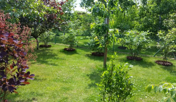 Działka rod Stare Bielice